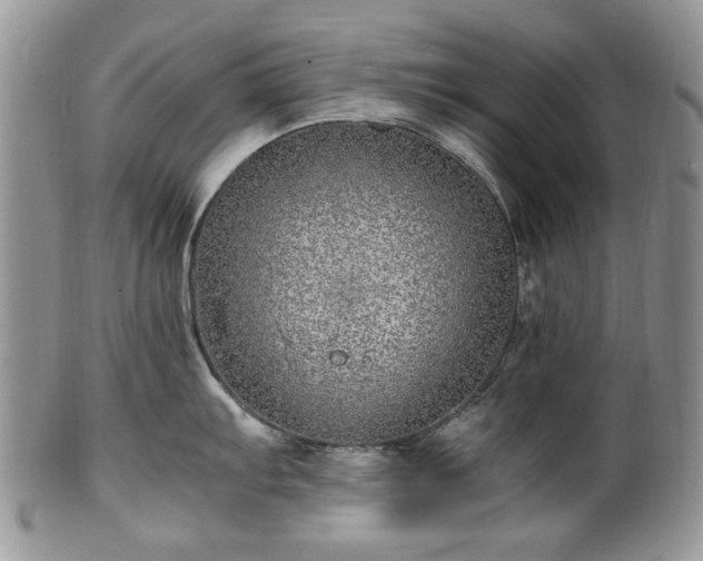 X0000100401103200806131008