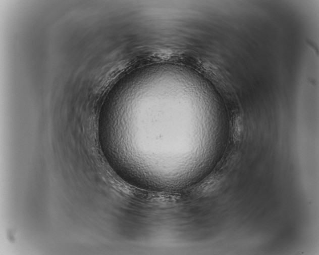 X0000100401105200806131007