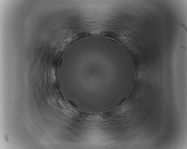 X0000100401106200806131007
