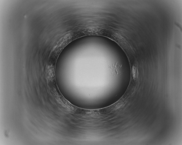 X0000100401107200806131007