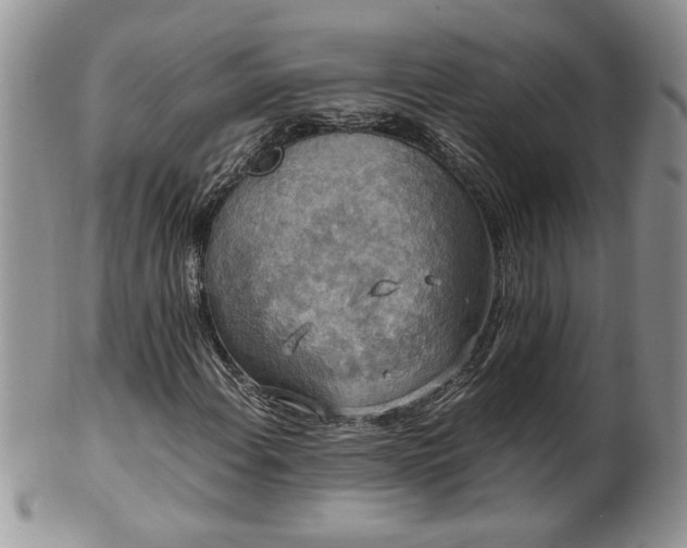 X0000100401108200806131007