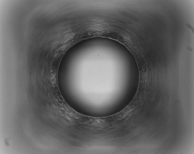 X0000100401109200806131007