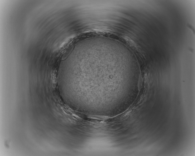 X0000100401110200806131007