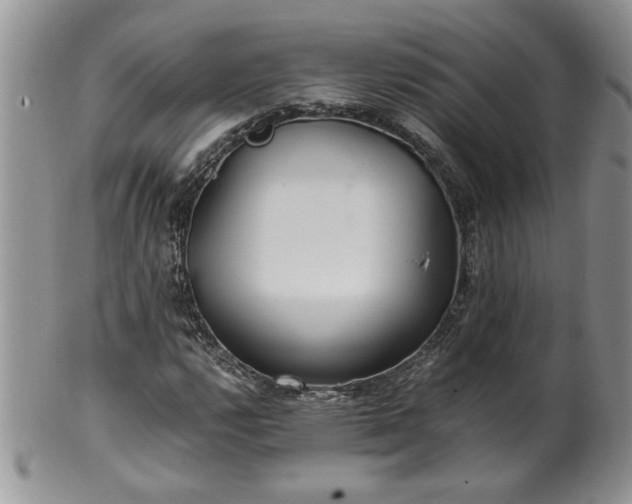X0000100401112200806131007
