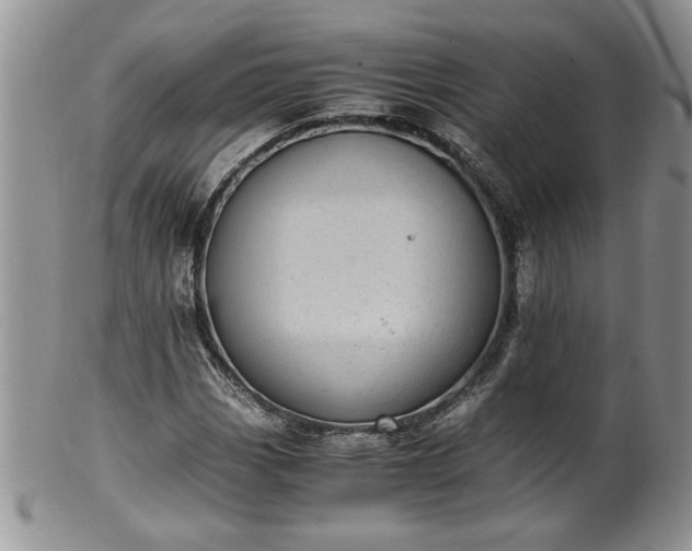 X0000100401113200806131007