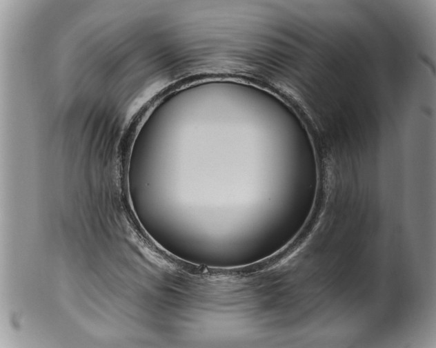 X0000100401114200806131007