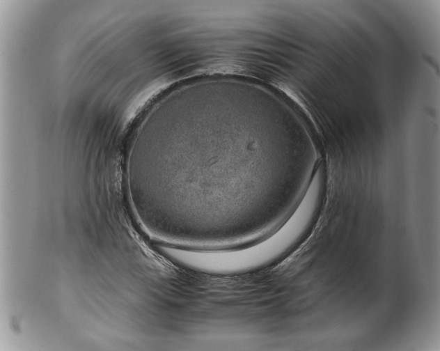 X0000100401115200806131007