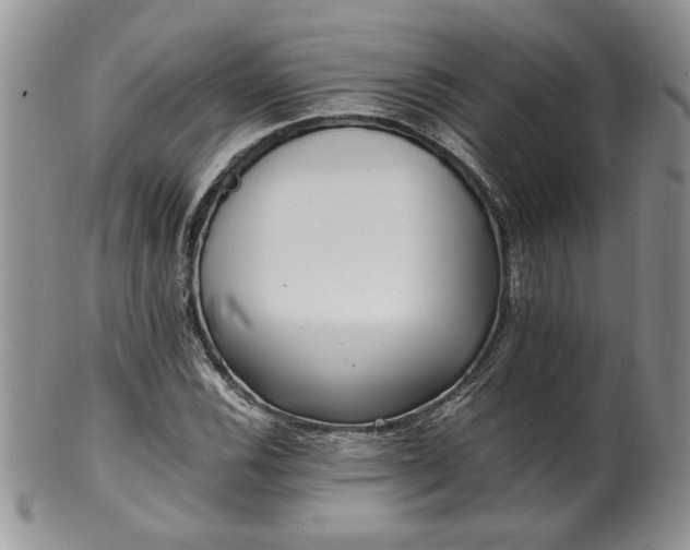 X0000100401116200806131007
