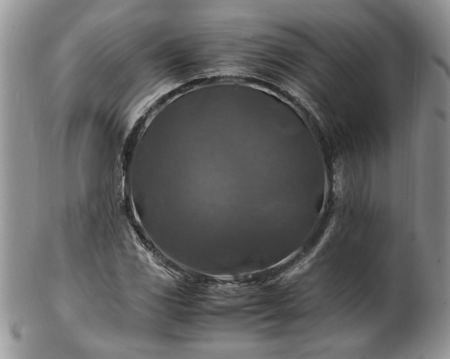 X0000100401117200806131007