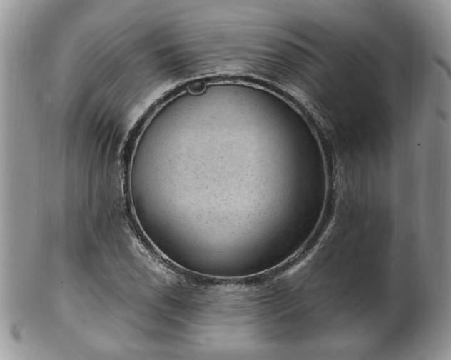 X0000100401118200806131007