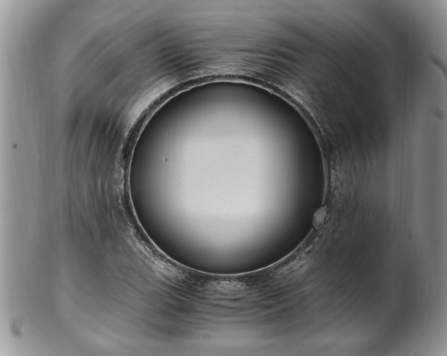 X0000100401119200806131007