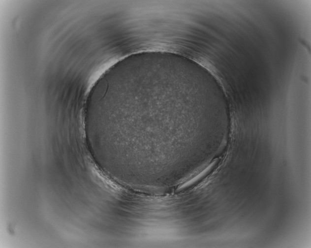 X0000100401120200806131007