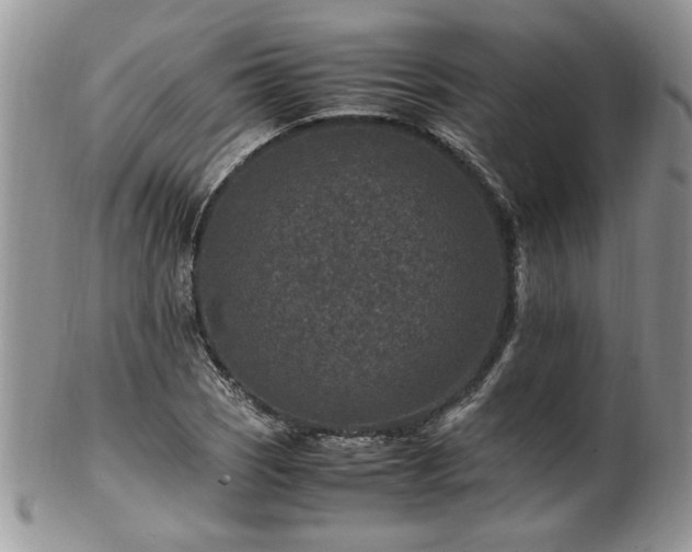 X0000100401121200806131007
