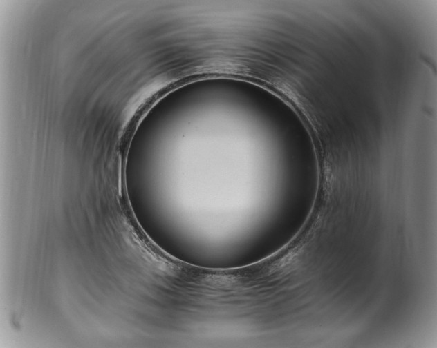 X0000100401123200806131008