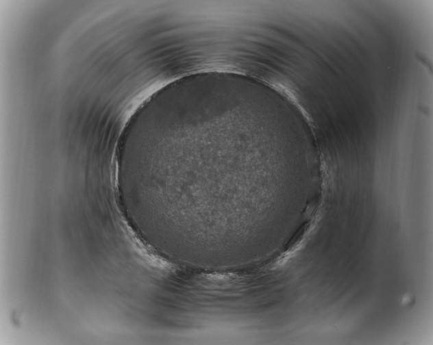 X0000100401125200806131008