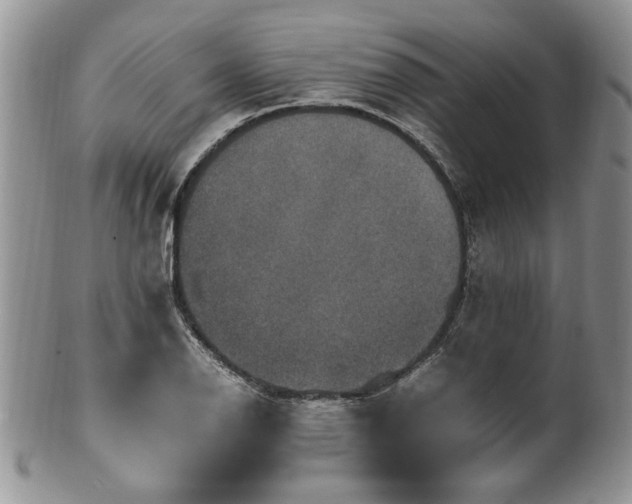 X0000100401126200806131008