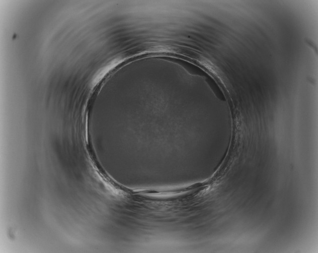 X0000100401127200806131008