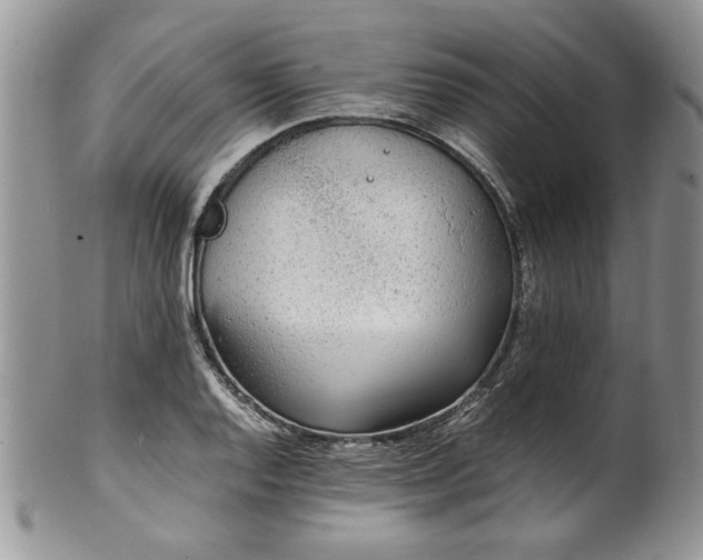 X0000100401128200806131008