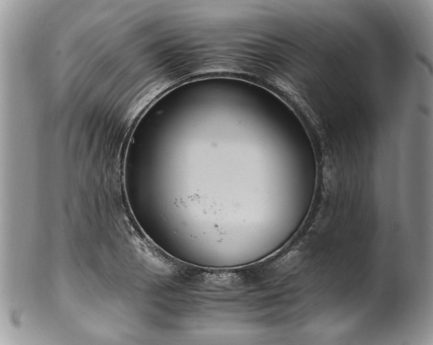 X0000100401129200806131008
