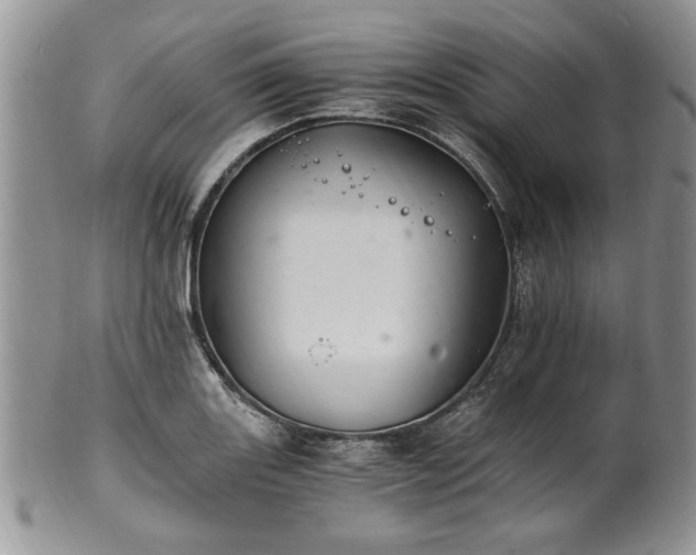 X0000100401131200806131008