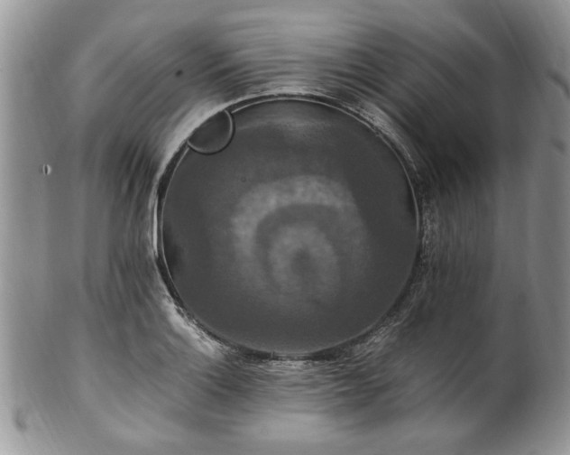 X0000100401132200806131008