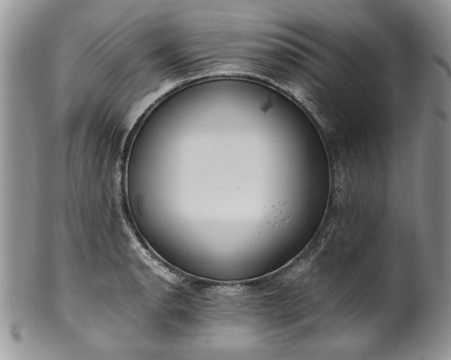 X0000100401134200806131008