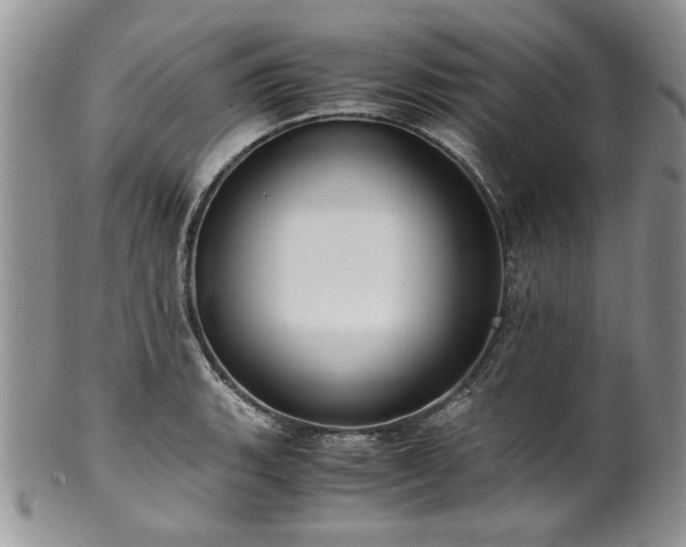 X0000100401135200806131008