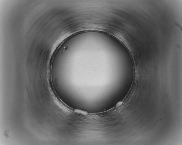 X0000100401136200806131008