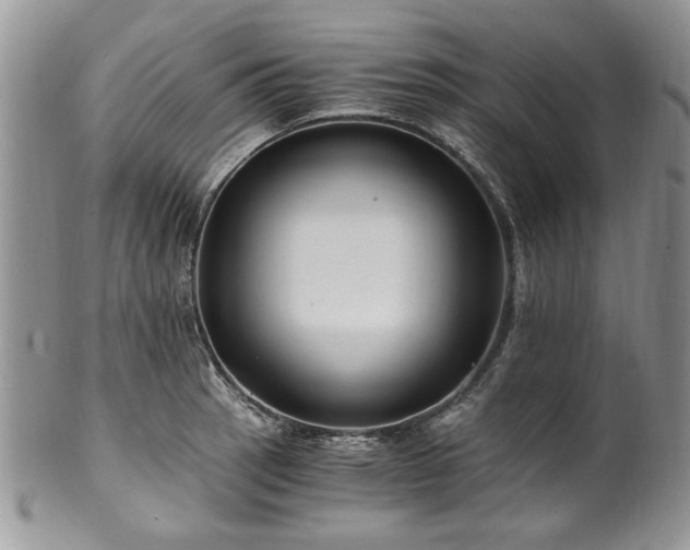 X0000100401137200806131008