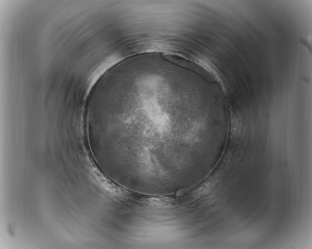X0000100401138200806131008