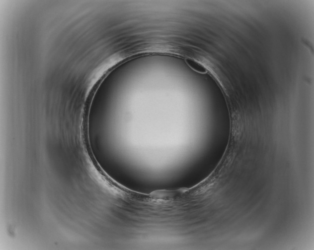 X0000100401139200806131008