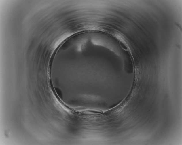 X0000100401141200806131008