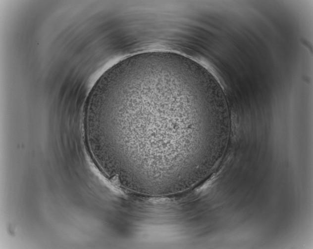 X0000100401142200806131008