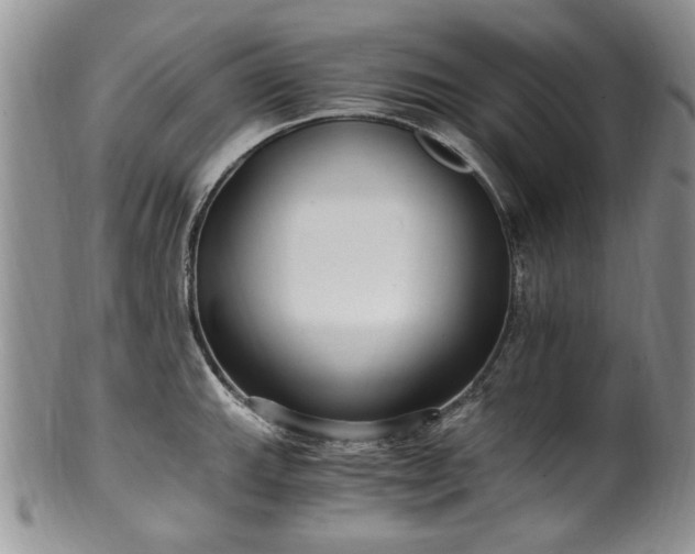 X0000100401143200806131008