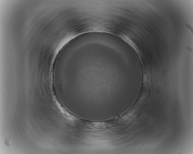 X0000100401144200806131008