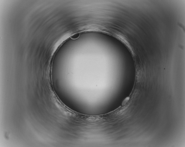X0000100401146200806131008