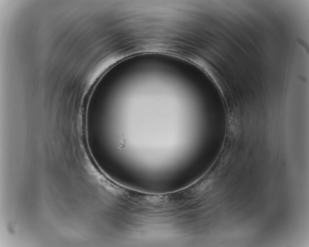 X0000100401147200806131008