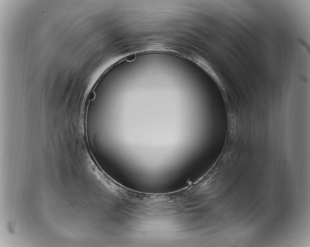 X0000100401148200806131008