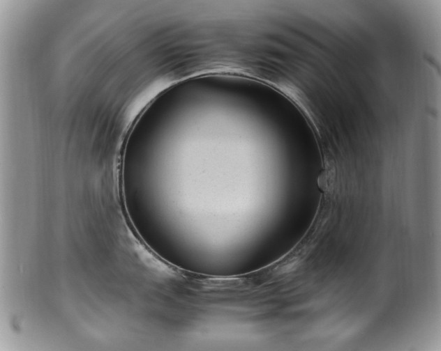 X0000100401151200806131008