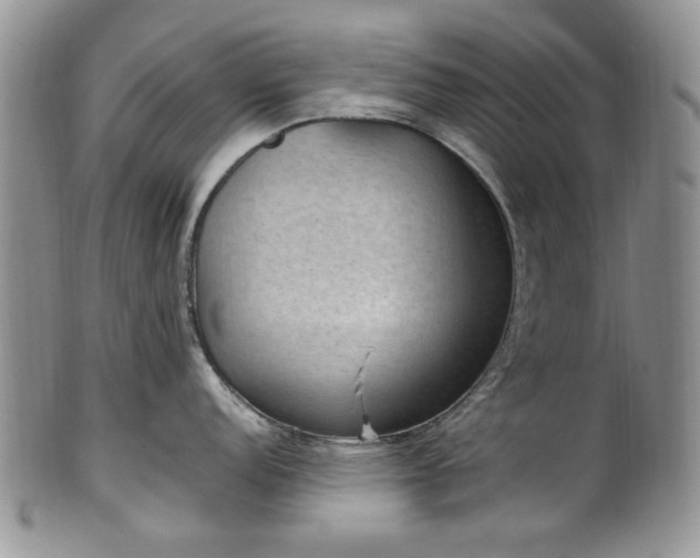 X0000100401152200806131008