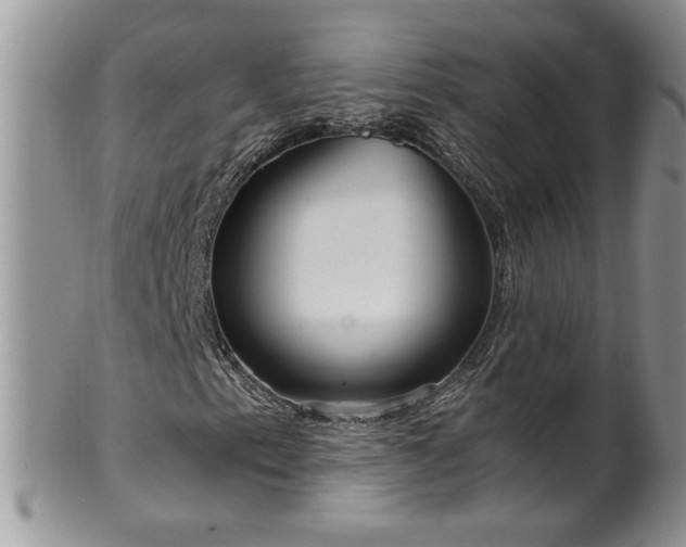 X0000100401153200806131007