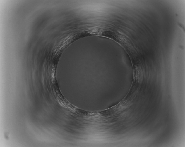 X0000100401154200806131007