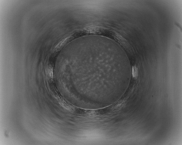 X0000100401155200806131007