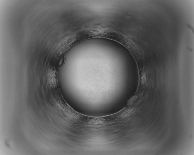 X0000100401156200806131007