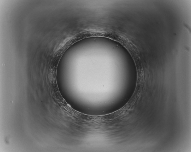 X0000100401157200806131007