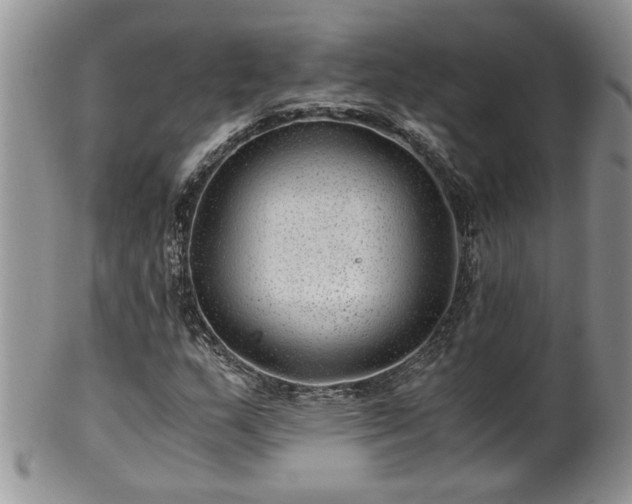 X0000100401159200806131007