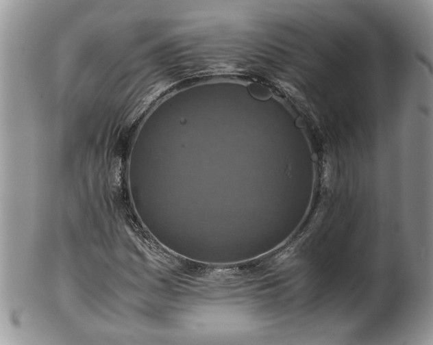 X0000100401161200806131007