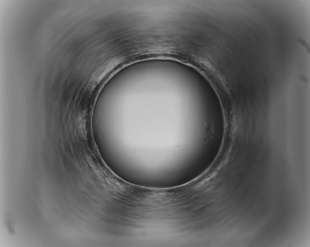 X0000100401162200806131007