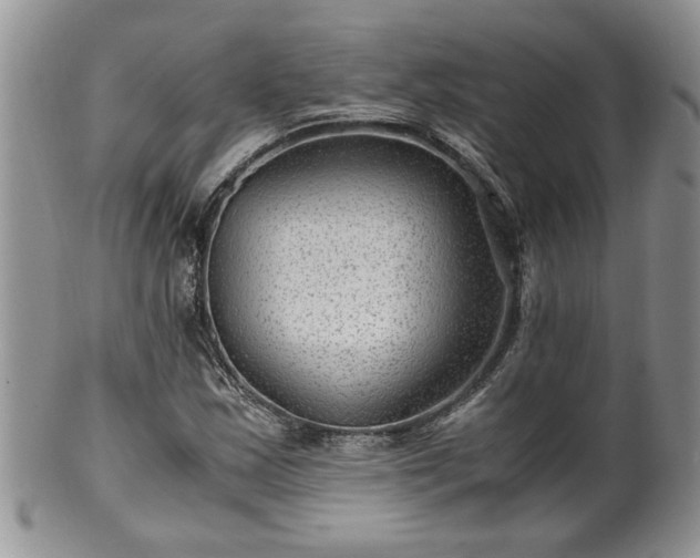 X0000100401163200806131007