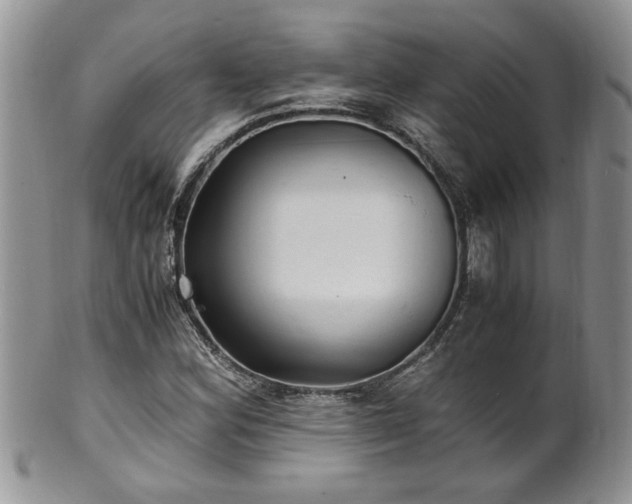 X0000100401164200806131007